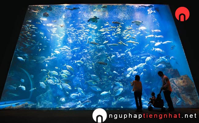 Các địa điểm du lịch ở akita - Thủy cung Oga - GAO