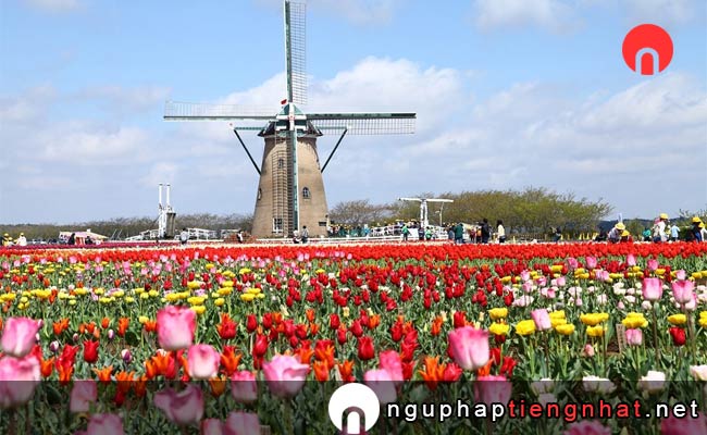 Các địa điểm du lịch ở chiba - Bảo tàng đường sắt