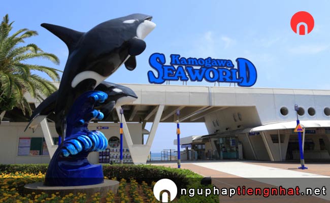 Các địa điểm du lịch ở chiba - Thế giới đại dương Kamogawa Sea World