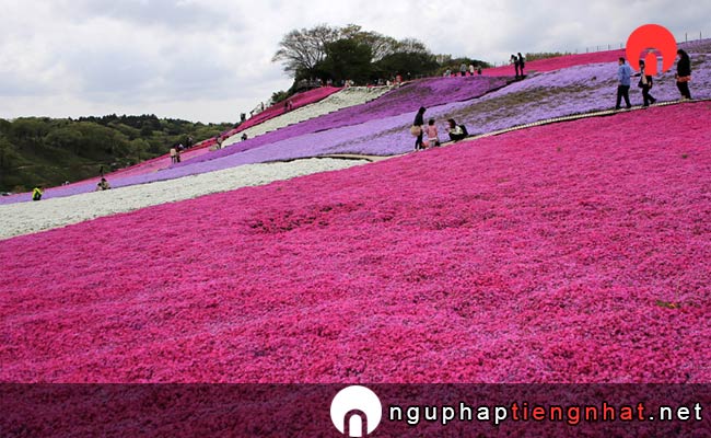 Các địa điểm du lịch ở chiba - thắp sáng đèn illumination