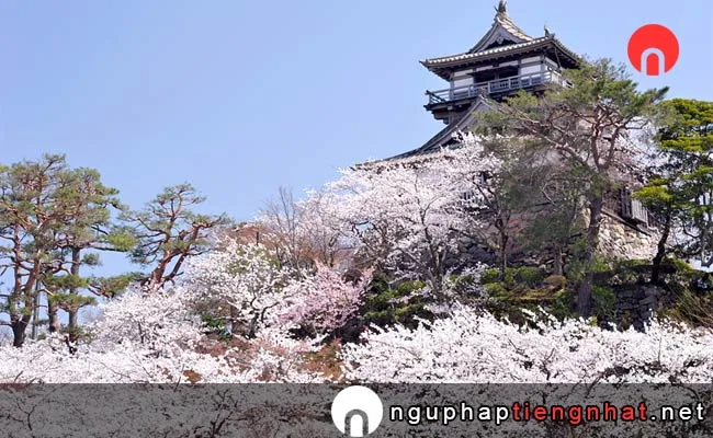 Các địa điểm du lịch ở fukui - Thành Maruoka