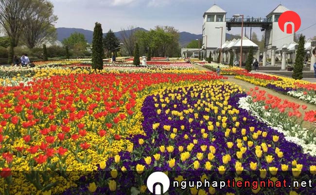 Các địa điểm du lịch ở gunma - Công viên Hoa Gunma