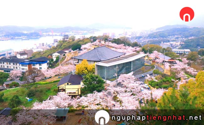 Các địa điểm du lịch ở hiroshima - Chùa Senko-ji