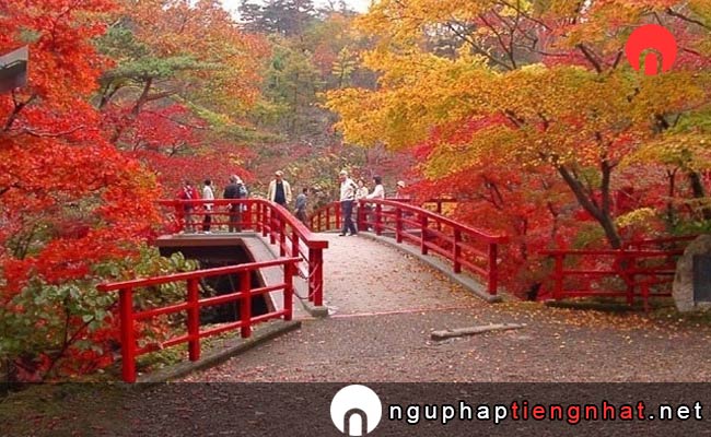 Các địa điểm du lịch ở hiroshima - Công viên Momijidani