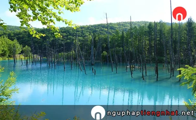 Các địa điểm du lịch ở Hokkaido - Hồ Aoiike