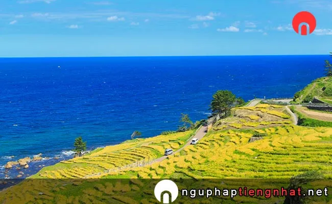 Các địa điểm du lịch ở ishikawa - Ruộng bậc thang Shiroyone Senmaida