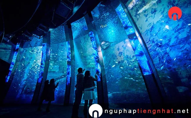 Các địa điểm du lịch ở kanagawa - Thiên đường biển Hakkeijima