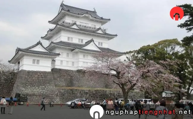 Các địa điểm du lịch ở kanagawa - Đảo nhân tạo Odaiba
