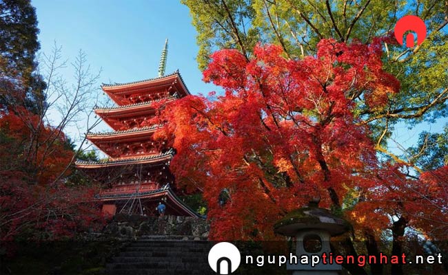 Các địa điểm du lịch ở kochi - Chùa Chikurin-ji