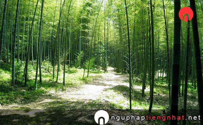 Các địa điểm du lịch ở kumamoto - Công viên thiên nhiên Tatsuda