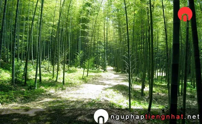 Các địa điểm du lịch ở kumamoto - Công viên thiên nhiên Tatsuda