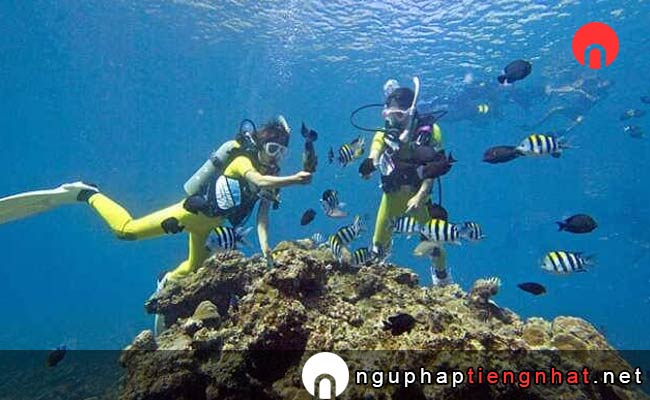 Các địa điểm du lịch ở okinawa - Lặn biển ngắm cá, san hô đẹp quên sầu