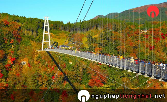 Các địa điểm du lịch ở ooita - Cầu treo Kokonoe Yume