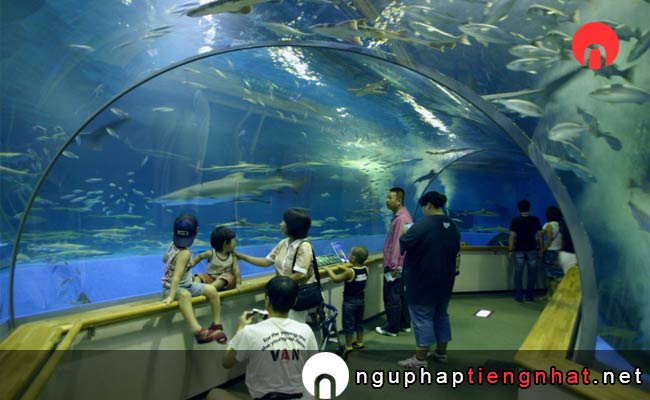 Các địa điểm du lịch ở shimane - Thủy cung Shimae