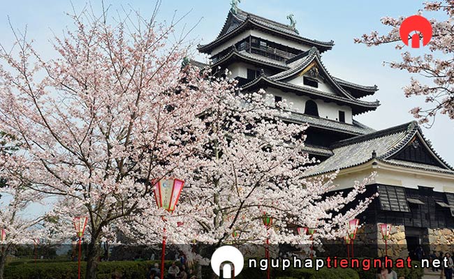 Các địa điểm du lịch ở shimane - Lâu đài Thành Matsue