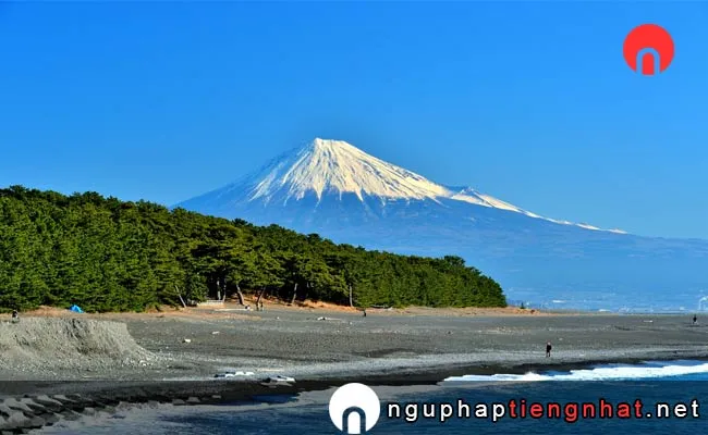 Các địa điểm du lịch ở shizuoka - Rừng thông Miho
