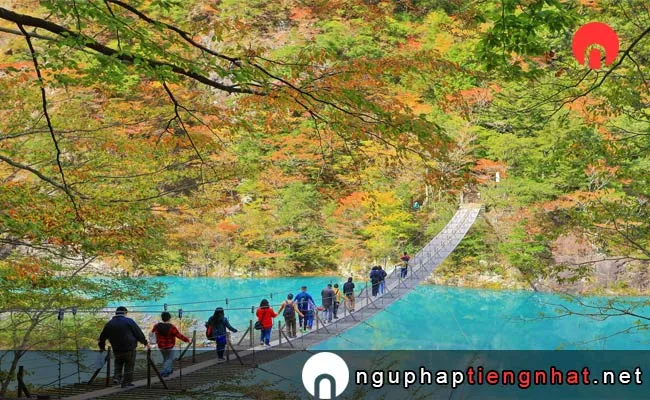 Các địa điểm du lịch ở shizuoka - Thung lũng Sumata-kyo