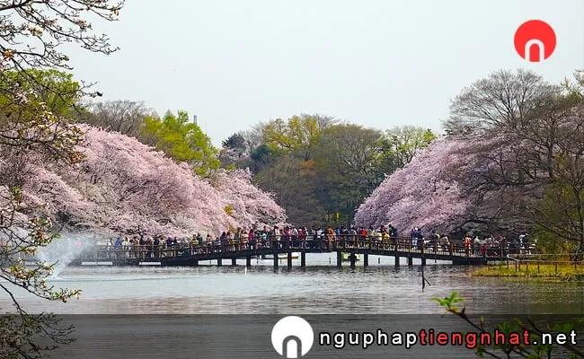 Các địa điểm du lịch ở tokyo - Công viên Inokashira