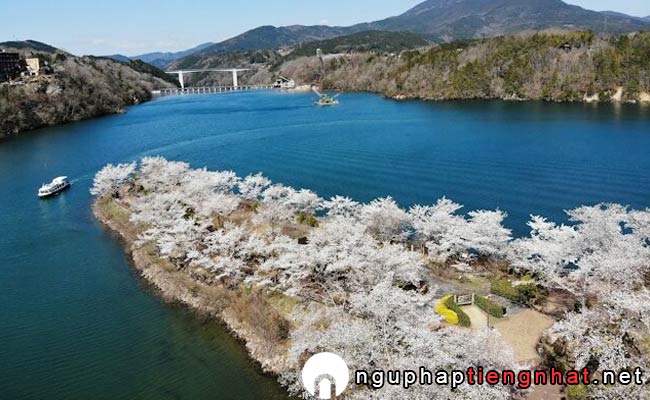 Những địa điểm ngắm hoa anh đào ở Gifu - 恵那峡