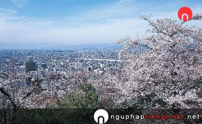 Những địa điểm ngắm hoa anh đào ở Gifu - 水道山