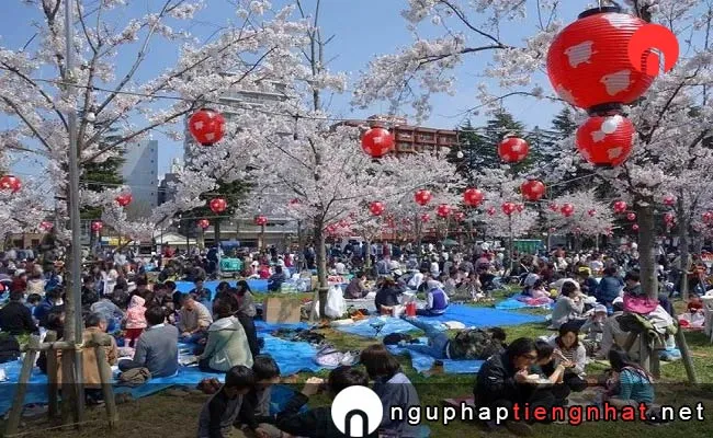 Những địa điểm ngắm hoa anh đào ở Miyagi - 西公園