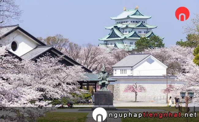 Những địa điểm ngắm hoa anh đào ở aichi - 名古屋城