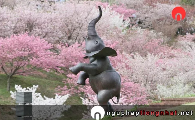 Những địa điểm ngắm hoa anh đào ở Akita - 日本国花苑