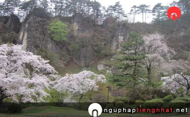 Những địa điểm ngắm hoa anh đào ở Akita - きみまち阪県立自然公園