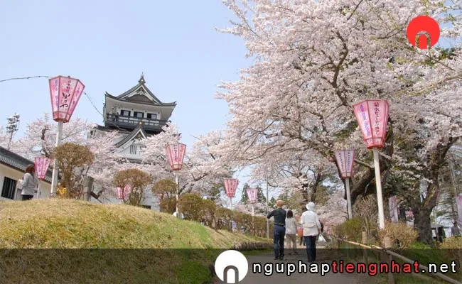 Những địa điểm ngắm hoa anh đào ở Akita - 横手公園