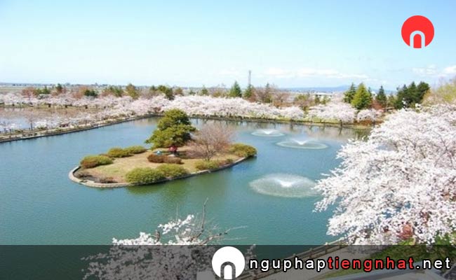 Những địa điểm ngắm hoa anh đào ở Aomori - 猿賀公園