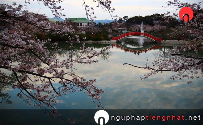 Những địa điểm ngắm hoa anh đào fukuoka - 垣生公園