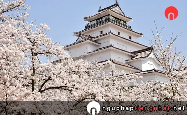 Những địa điểm ngắm hoa anh đào ở fukushima - 鶴ヶ城公園