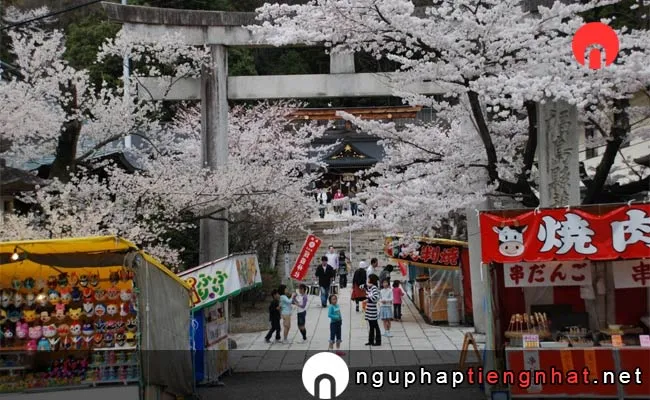 Những địa điểm ngắm hoa anh đào ở fukushima - 花見山