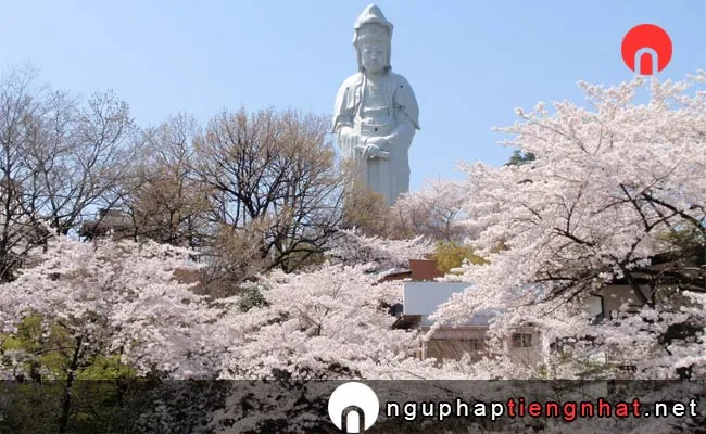Những địa điểm ngắm hoa anh đào ở gunma - 高崎観音山