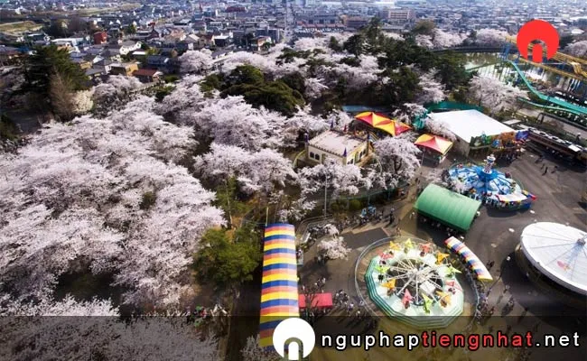 Những địa điểm ngắm hoa anh đào ở gunma - 華蔵寺公園