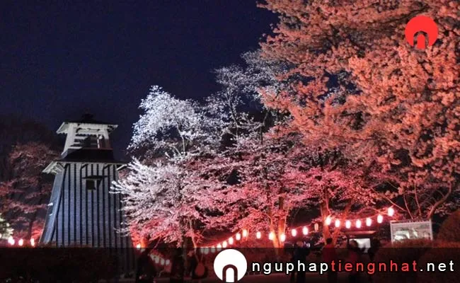 Những địa điểm ngắm hoa anh đào ở gunma - 沼田公園