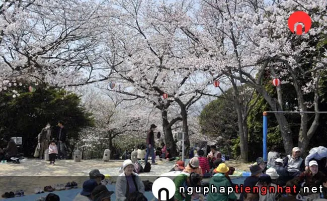 Những địa điểm ngắm hoa anh đào ở hiroshima - 江波山公園