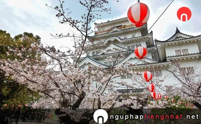 Những địa điểm ngắm hoa anh đào ở hiroshima - 福山城公園