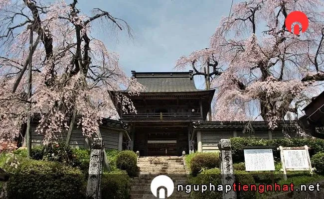Những địa điểm ngắm hoa anh đào ở hiroshima - 円正寺