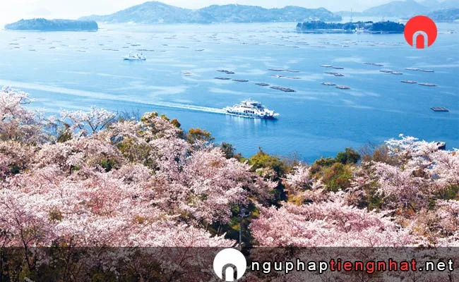 Những địa điểm ngắm hoa anh đào ở hiroshima - 正福寺山公園