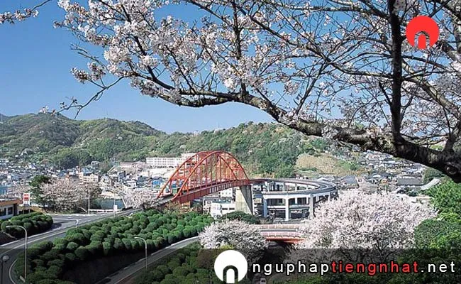 Những địa điểm ngắm hoa anh đào ở hiroshima - 音戸の瀬戸公園