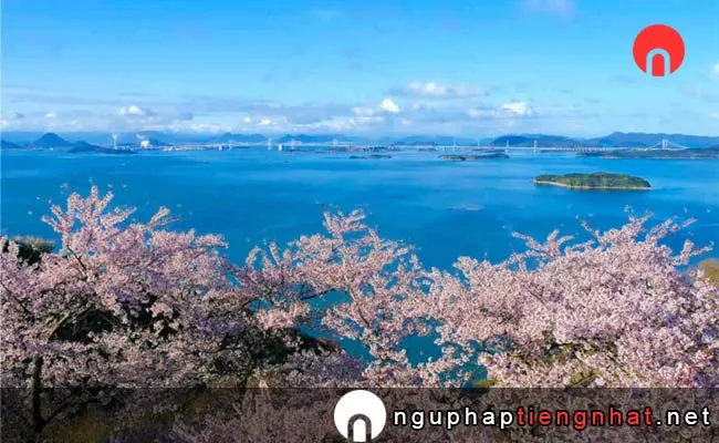 Những địa điểm ngắm hoa anh đào ở hiroshima - 本荘公園