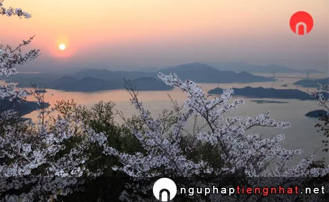 Những địa điểm ngắm hoa anh đào ở hiroshima - 筆影山山頂展望台