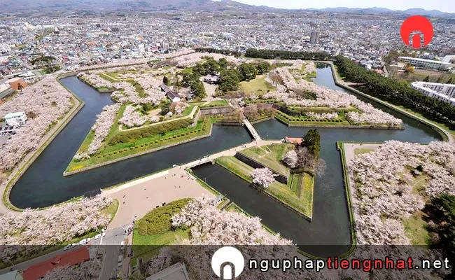 Những địa điểm ngắm hoa anh đào ở Hokkaido - công viên Goryokaku