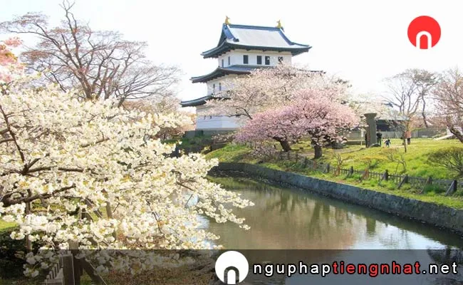 Những địa điểm ngắm hoa anh đào ở Hokkaido