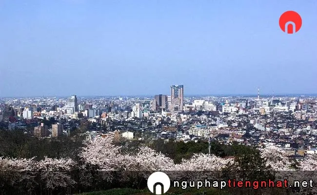 Những địa điểm ngắm hoa anh đào ở ishikawa - 卯辰山公園