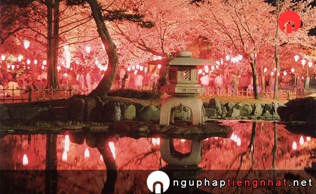 Những địa điểm ngắm hoa anh đào ở ishikawa - 芦城公園