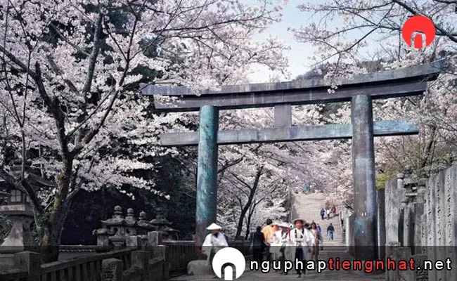 Những địa điểm ngắm hoa anh đào ở kagawa - 金刀比羅宮