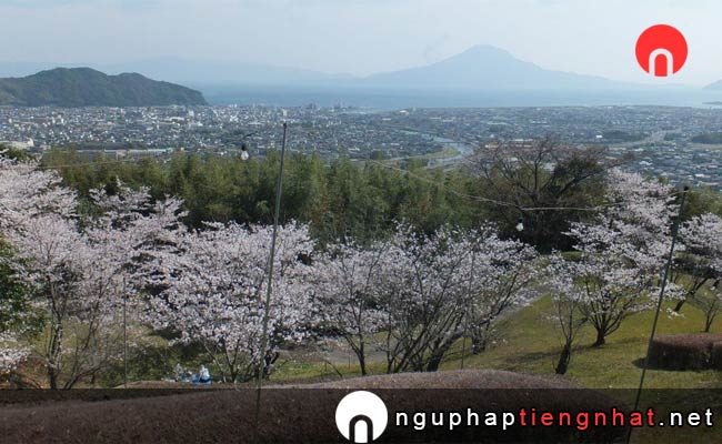 Những địa điểm ngắm hoa anh đào ở kagoshima - 高岡公園