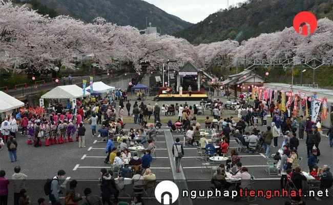 Những địa điểm ngắm hoa anh đào ở kanagawa - 山北鉄道公園